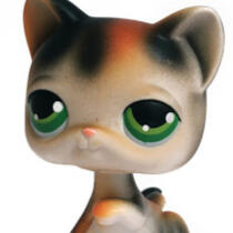 LPS #27